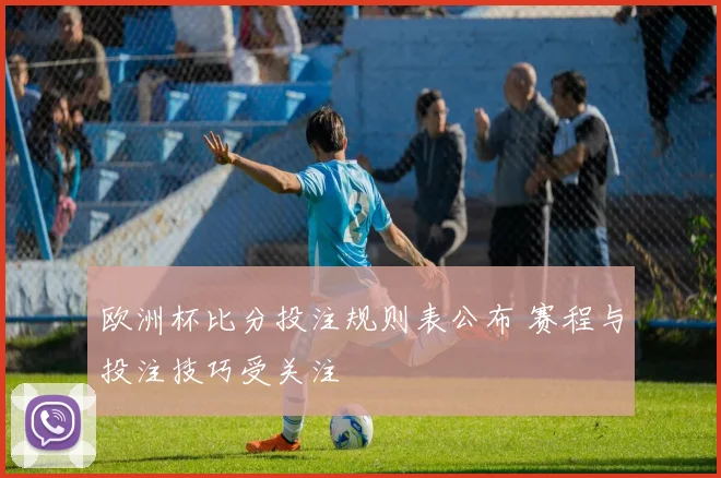 欧洲杯比分投注规则表公布 赛程与投注技巧受关注