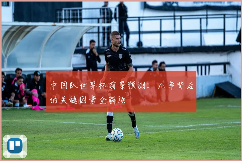 中国队世界杯前景预测:几率背后的关键因素全解读