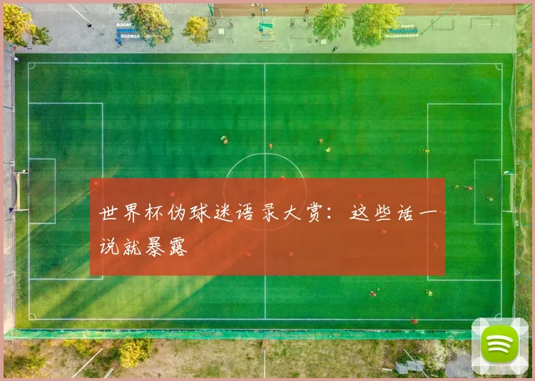 世界杯伪球迷语录大赏：这些话一说就暴露