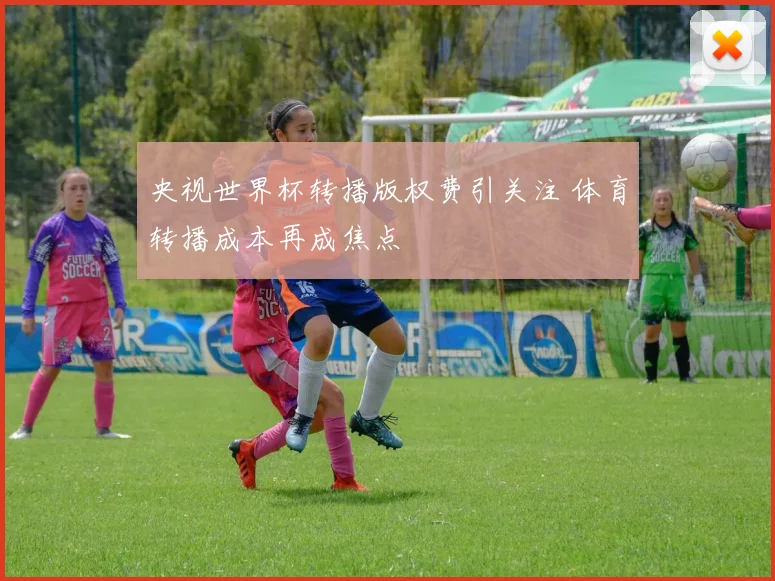 央视世界杯转播版权费引关注 体育转播成本再成焦点