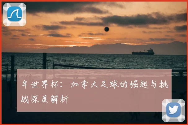 年世界杯：加拿大足球的崛起与挑战深度解析