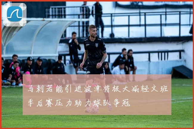 马刺若能引进波津将极大减轻文班季后赛压力助力球队争冠
