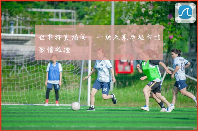 世界杯直播间，一场未来与经典的激情碰撞