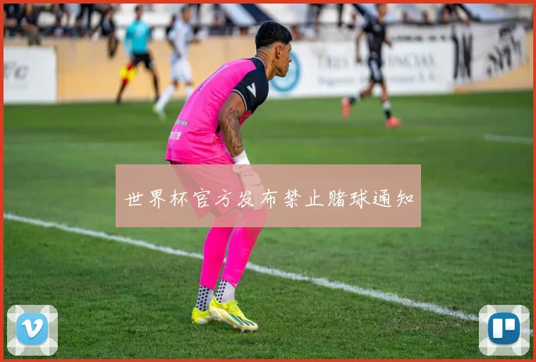 世界杯官方发布禁止赌球通知