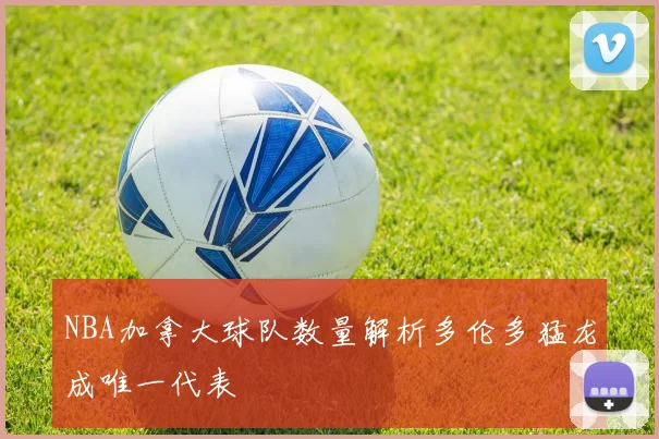 NBA加拿大球队数量解析多伦多猛龙成唯一代表