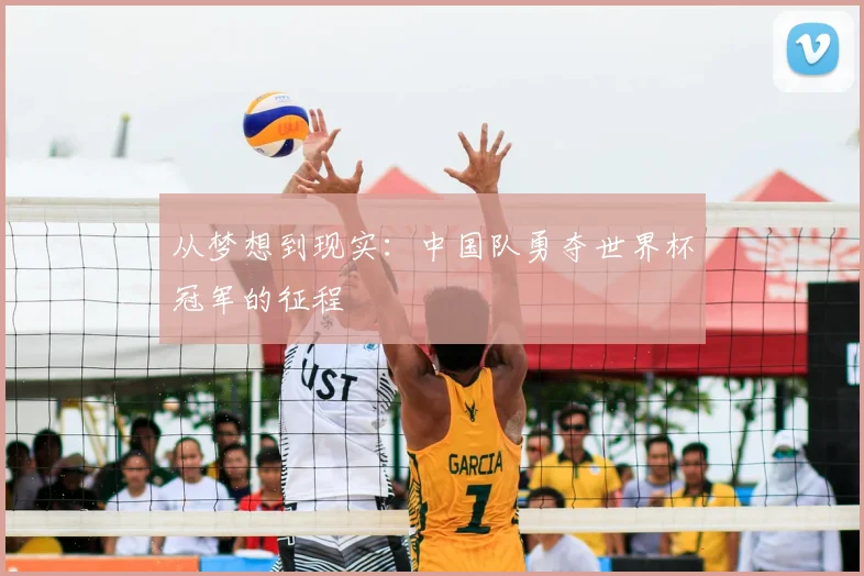 从梦想到现实：中国队勇夺世界杯冠军的征程
