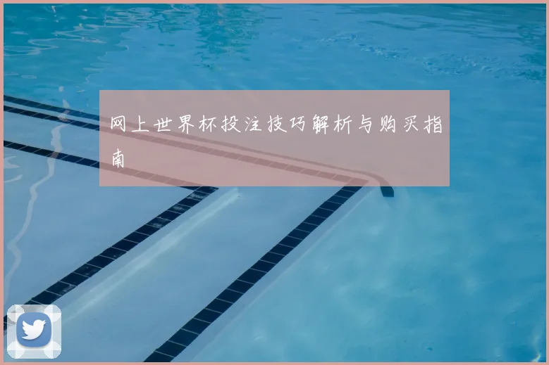 网上世界杯投注技巧解析与购买指南