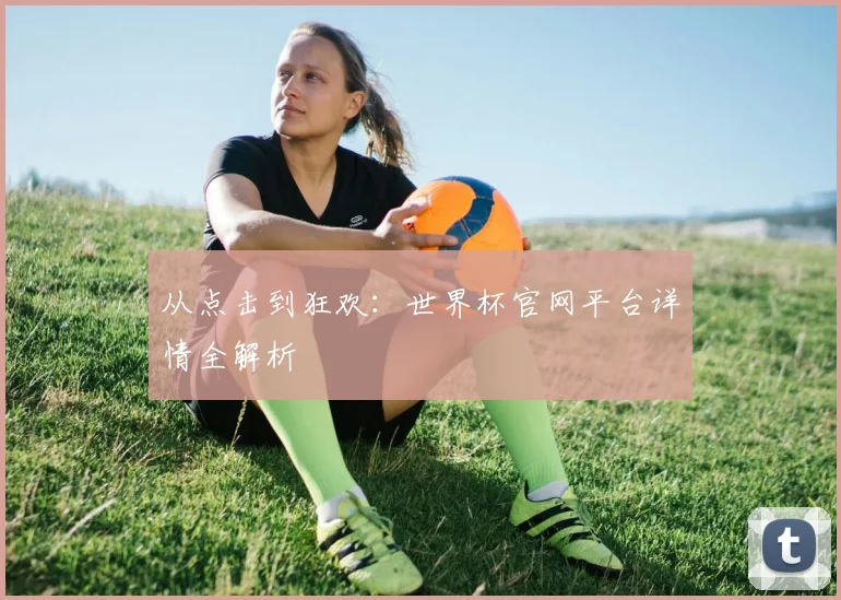 从点击到狂欢:世界杯官网平台详情全解析
