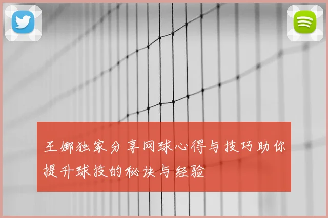 王娜独家分享网球心得与技巧助你提升球技的秘诀与经验