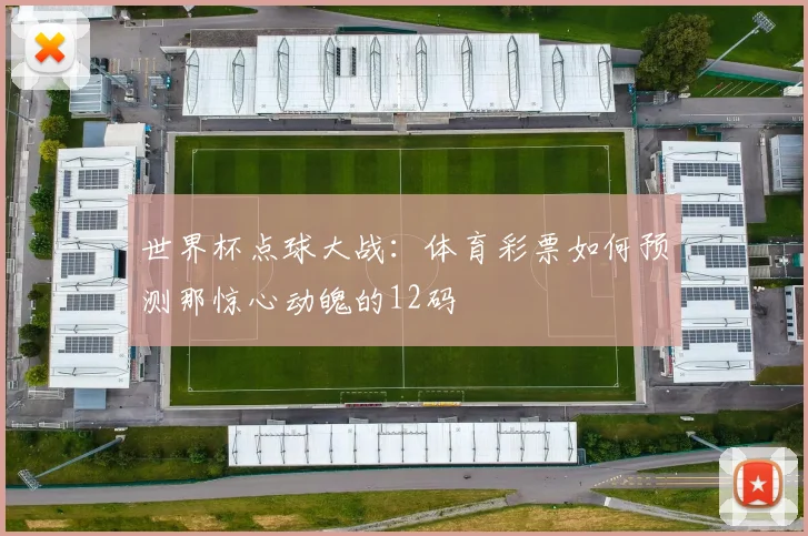 世界杯点球大战:体育彩票如何预测那惊心动魄的12码