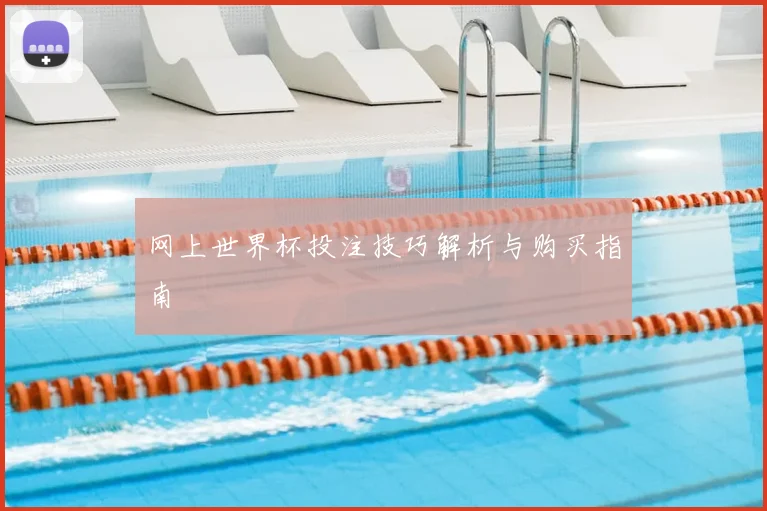 网上世界杯投注技巧解析与购买指南