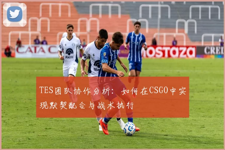TES团队协作分析：如何在CSGO中实现默契配合与战术执行